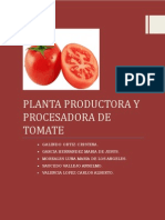 Planta Procesadora de Pure de Tomate