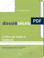 Cultivo Técnico de Melão e Melancia