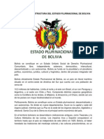 Organización y Estructura Del Estado Plurinacional de Bolivia