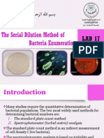 Lab 17 Serial Dilution