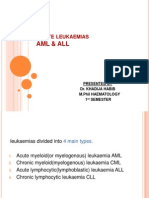 Acute Myeloid Leukaemia