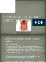 Sindrome de Intestino Corto1