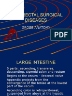 Powerpoint: Colorectal Surgical Diseases