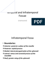 Temporal and Infratemporal Fossae