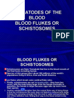 Trematodes of The Blood