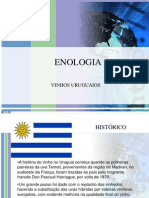 Enologia Uruguai