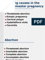 Bleeding Causes in The First Trimester Pregnancy