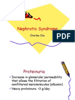 Nephrotic Syndrome