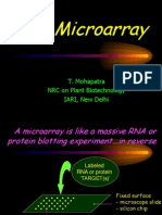 DNA Microarray