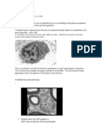 Histology NBME Review and Answers