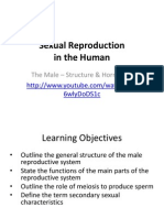 1 Male Structure and Hormones