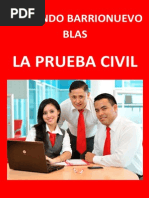 LA PRUEBA CIVIL (Autor. Fernando Barrionuevo Blas)