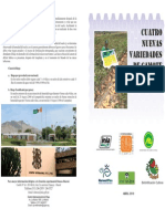 Variedades de Camote Peru PDF