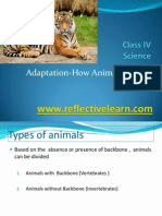 Summary Adaptations How Animals Survive Upload