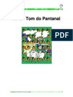 RPG Pantanal