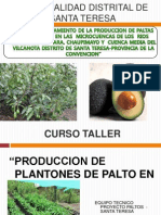 Curso Taller Paltos - Vivero