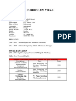 CURRICULUM VITAE Lutfi