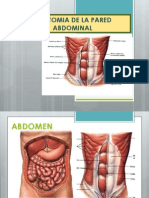 Anatomia de La Pared Abdominal