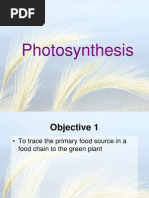 Photosynthesis