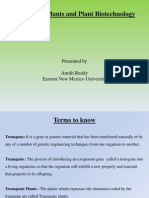 Transgenic Plants and Plant Biotechnology: Presented by Amith Reddy Eastern New Mexico University