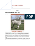 Demanda de Fibra de Alpaca