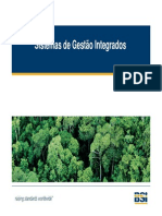 Sistema de Gestão Integrado PDF