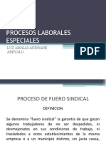 Procesos Laborales Especiales