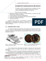 Acompanhamento Geol Poço