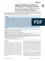 Metabolic and Target-Site Mechanisms Combine To Confer Strong DDT Resistance in