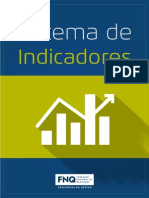 FNQ - Sistema de Indicadores PDF