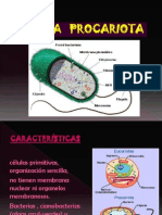 SEM 08 - Celula Procariota