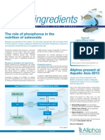 Talking Feed-Special Issue Aquaculture November 2012 - tcm14-23019