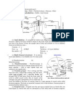 Endoskeleton in Vertebrate Made Up of