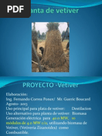 Vetiver Biomasa y Aceite