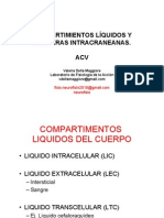 Compartimentos Líquidos. Barreras. ACV