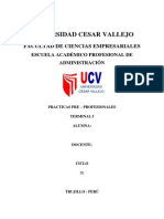 Informe de Practica Pre Profesionales CV