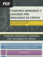 Tumores B y Lesiones