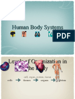 Human Body Systems