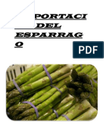 Exportación Del Esparrago