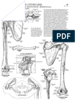 Anatomy Coloring Book Shoulder Diagrams