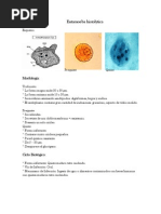 Entamoeba Histolytica