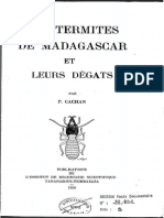 Microcerotermes Subtilis