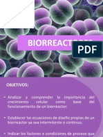 Biorreactores Diseño