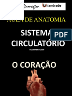 Anatomia Do Coração