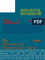 Ecological Succession