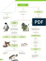 Natural Science 2. Review. Unit 6