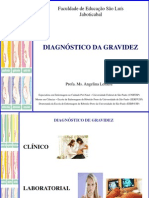 Diagnóstico Da Gravidez PDF