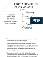 Andres Terceros Molares