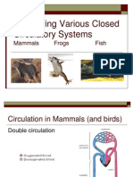 Comparing Various Closed Circulatory Systems: Mammals Frogs Fish