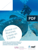 Bucear Con Tiburones y Rayas en Espana